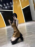 鉑朗尼奧過膝長靴女翻毛冬季內增高內靴熱彈性修身靴麂皮靴羊毛襯里 咖色-內增高8CM-單里真皮版 33 曬單實拍圖