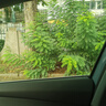 美的空調(diào) 大1.5匹 酷省電 新一級能效 變頻冷暖 省電壁掛式臥室掛機 國家補貼 KFR-35GW/N8KS1-1  曬單實拍圖