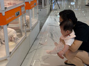 全棉時(shí)代嬰兒襪子新生寶寶嬰幼兒襪子純棉長筒襪過膝襪14cm-16cm 曬單實(shí)拍圖