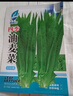 四季播種油麥菜種子家庭種菜盆栽田園地栽菜種籽易成活蔬菜種子 油麥菜種子【2包約5000?！?原廠(chǎng)封裝 曬單實(shí)拍圖