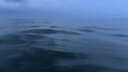 畢亞茲防水腰包手機防水袋斜挎包加大號防水套漂流游泳溫泉潛水外賣騎手戶外海邊手機收納袋 JK697磨砂黑 曬單實拍圖