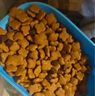 瘋狂小狗狗糧金毛拉布拉多薩摩耶邊牧 寵物幼犬成犬20kg犬糧 40斤牛肉味 曬單實(shí)拍圖