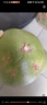 正宗泰國(guó)青柚青皮白心蜜柚孕婦新鮮水果當(dāng)季整箱快遞隨機(jī)甜青柚 【2?！刻﹪?guó)青柚單果1.5-2斤 曬單實(shí)拍圖
