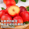 京鮮氣智利進(jìn)口櫻桃李純甜紅李子新鮮時(shí)令孕婦水果禮盒裝節日送禮水果 精選果2斤 實(shí)惠無(wú)禮盒 曬單實(shí)拍圖