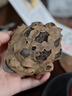 天盛堂創(chuàng)意樹(shù)皮金蟾宜興紫砂茶寵擺件精品可養(yǎng)茶具招財(cái)手工茶盤(pán)小茶玩 樹(shù)皮金蟾茶寵 曬單實(shí)拍圖