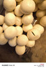 王升大正宗寧波湯圓百年王升大250g 寧波特產(chǎn)湯團(tuán)元宵節(jié)小吃速凍 包郵 王升大芝麻豬油湯圓4包 曬單實(shí)拍圖