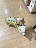 星舵狗狗衣服夏天防掉毛大型犬戶外夏季防曬衣金毛薄款防蟲透氣背心 黃色熊頭6XL(胸圍92cm 60-80斤) 曬單實拍圖
