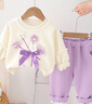 奧特曼童裝兒童套裝春秋季新款嬰兒衣服洋氣女童衛(wèi)衣衛(wèi)褲時(shí)髦休閑兩件套 紫色 80 建議75-85cm9-12月 曬單實(shí)拍圖