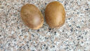 佳沛（zespri）新西蘭  陽光金奇異果10粒禮盒巨大果單果約144-175g 水果 獼猴桃 曬單實拍圖