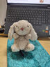 JELLYCAT專(zhuān)柜正品jellycat兔子玩偶Yummy甜美兔毛絨玩具安撫公仔英國(guó)代購(gòu) 米色甜美兔（贈(zèng)防塵袋） 曬單實(shí)拍圖
