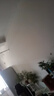 孔雀魚孕母繁殖觀賞魚苗小型金魚好養(yǎng)淡水熱帶鳳尾瑪麗燈科魚斑馬 搶特價：隨機色孔雀10條+5備損* 【清倉特價】好養(yǎng)耐活*可繁殖 曬單實拍圖