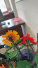 若客（ROKR）花間集綻放·綺夢(mèng) 積木花束diy手工生日禮物女生文創(chuàng  )擺件小夜燈 曬單實(shí)拍圖