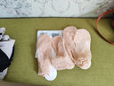 浪莎襪子女士25超薄蕾絲花邊短絲襪棉底防滑冰絲無(wú)痕水晶短筒襪 曬單實(shí)拍圖