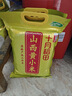 十月稻田 24年新米 山西黃小米 5斤 五谷雜糧 粗糧 早餐小米粥 真空 2.5kg 曬單實拍圖