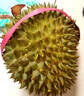 智宙泰國進(jìn)口冷凍液氮榴蓮【順豐】榴蓮老樹(shù)果整個(gè)帶殼榴蓮熱帶水果 液氮金枕榴蓮2-3斤丨包3-4房 曬單實(shí)拍圖