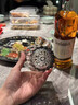 VIANASA'S高檔洋酒杯江戶切子星芒洛克杯威士忌酒杯水晶玻璃杯禮盒裝送禮 灰色星芒(單只禮盒裝) 330ml 1只 曬單實(shí)拍圖
