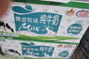 花園【新鮮日期】黃金牧場(chǎng)純牛奶200克*20盒整箱裝新疆原產(chǎn)禮盒裝 曬單實(shí)拍圖