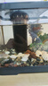 闊庭（KUOTING）魚(yú)缸水族箱生態(tài)桌面魚(yú)缸新款懶人魚(yú)缸過(guò)濾制氧一體機黑色【大號】 曬單實(shí)拍圖