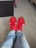 阿迪達(dá)斯（adidas）三葉草男女鞋GAZELLE INDOOR低幫休閑鞋IF1808紅白35.5 曬單實拍圖