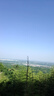 小蘇妞假發(fā)發(fā)圈全真發(fā)丸子頭盤發(fā)后腦勺發(fā)包蓬松花苞頭新娘低丸子卷發(fā)圈 全真人發(fā)絲（店長推薦）,深棕色 曬單實(shí)拍圖