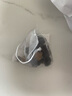 北京同仁堂桑葚覆盆子茶組合中藥材特級正品桑葚干新鮮泡水喝正品藥房旗艦店 覆盆子+桑葚30包（體驗(yàn)裝） 官方店京自旗艦營東大藥房 曬單實(shí)拍圖