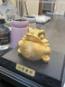 澤名家萬花牡丹提梁壺一壺四杯家用茶壺茶杯大容量泡茶壺功夫茶具套裝 萬花牡丹提梁壺（雙魚）一壺四杯 曬單實拍圖
