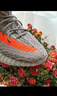 阿迪達斯Yeezy350椰子青少年學生夏日透氣運動鞋 36.5 曬單實拍圖