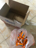雙匯 玉米熱狗腸 32g*60支 火腿腸 休閑零食 香腸 燒烤露營(yíng) 速食 出游 曬單實(shí)拍圖