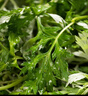 艾草新鮮食用蔬菜現(xiàn)摘清明草粑粑青團(tuán)3斤順豐艾葉新鮮艾草葉 【順豐快遞】 1500g 曬單實(shí)拍圖