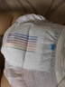 bebebus超褲護臀成長褲L32片(9-14kg)夏季超薄透氣拉拉褲學步褲男女寶 曬單實拍圖