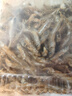 漁欣仙毛毛魚250g 湖南特產(chǎn)淡水小魚干干貨柴火火焙小公魚仔嫩子麥穗魚 曬單實(shí)拍圖