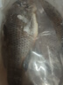 環(huán)球水產(chǎn)三去羅非魚2.8斤/共4條 免處理去鱗去鰓去內(nèi)臟 魚類 曬單實(shí)拍圖
