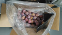 都樂(lè )Dole 秋月梨 產(chǎn)地直發(fā) 現摘現發(fā) 凈重1.6kg 4-6枚 簡(jiǎn)裝 曬單實(shí)拍圖