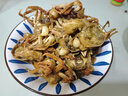 【活蟹】鮮活六月黃小螃蟹凈重足重淡水大閘蟹小河蟹生鮮水產(chǎn)現(xiàn)貨 三元蟹[0.7-0.9兩]17只+多送3只 曬單實(shí)拍圖