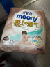 MOONY尤妮佳極上系列極光薄拉拉褲XXL21片(15kg以上)中包裝散熱尿不濕 曬單實拍圖
