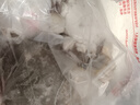 舟山梭子蟹鮮活特大野生大螃蟹新鮮冷凍海鮮水產(chǎn)海蟹飛蟹白蟹順豐 9兩以上/只【5斤凈重 超大肥美】 曬單實(shí)拍圖