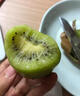 南步江山徐香獼猴桃  衢州特產(chǎn)當季綠心奇異果彌胡桃泥猴桃水果禮盒 凈重4.5-5斤 中果【單果70g+】-需催熟 曬單實(shí)拍圖