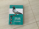 鴿病防治圖譜 曬單實拍圖