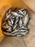 光威（GW）無(wú)法一本鯽本調鯽魚(yú)竿超輕超細臺釣竿野釣魚(yú)竿漁具魚(yú)竿手竿魚(yú)桿 3.9m 無(wú)法一本鯽本調+竿梢+纏把帶 曬單實(shí)拍圖