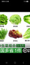 綠食者 沙拉蔬菜組合3.5斤 新鮮苦菊綠葉紅葉生菜西餐沙拉健康輕食蔬菜 蔬菜沙拉組合3.5斤【無沙拉醬】 曬單實(shí)拍圖