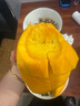 久雅優(yōu)鮮攀枝花凱特芒果 9斤四川特大青芒果新鮮熱帶水果當季現(xiàn)摘 凈重4.5-5斤（單果8兩起） 曬單實拍圖
