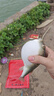 太宇仿真彩虹魚(yú)T尾軟餌9cm4g野釣淡水海水仿生遠(yuǎn)投路亞餌假餌套裝 曬單實(shí)拍圖