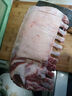 東來順 內(nèi)蒙古羔羊十二肋羊排 3斤/袋 原切羊排 手把肉手抓肉 羊肉生鮮 十二肋法式羊排（未分割） 曬單實(shí)拍圖