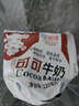 胖東L來(lái)海河紅豆牛奶茉莉奶綠可可巧克力草莓咖啡牛奶學(xué)生早餐牛 【5 袋】嘗鮮裝都好喝 【廠(chǎng)家直供貨源+內置氣囊】 曬單實(shí)拍圖