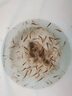 APRHD開放式折疊蝦籠魚網(wǎng)抬網(wǎng)搬網(wǎng)臺網(wǎng)漁網(wǎng)龍蝦網(wǎng)抓魚搬箏網(wǎng)抬網(wǎng)魚撈 雙鋼線直徑3米 曬單實拍圖