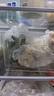 家の物語日式冰箱收納盒抽屜式專用食品級水果蔬菜整理保鮮盒廚房儲(chǔ)物盒 曬單實(shí)拍圖