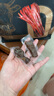 京東京造 風(fēng)干牛肉干原味500g量販裝0添加防腐劑優(yōu)選原料手撕肉脯內(nèi)蒙特產(chǎn) 曬單實(shí)拍圖