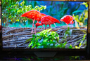 海信電視E8Q 65英寸 信芯H6 U+MiniLED  黑曜屏 首發(fā)300Hz高刷 帝瓦雷音響 E8NPRO升級 國家補貼65E8Q 曬單實(shí)拍圖
