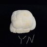 新鮮猴頭菇【順豐空運】 古田特產(chǎn)猴菇煲湯現(xiàn)采現(xiàn)發(fā)年貨禮盒送禮 精品猴頭菇 500g 曬單實拍圖
