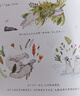 回家 國際大獎科普繪本 藝術(shù)啟蒙生命教育與環(huán)保啟蒙繪本硬殼精裝 支持老版小猴皮皮小雞球球豚小蒙點讀筆需另外購 曬單實拍圖